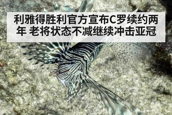 利雅得胜利官方宣布C罗续约两年 老将状态不减继续冲击亚冠