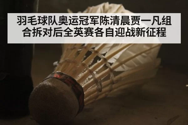羽毛球队奥运冠军陈清晨贾一凡组合拆对后全英赛各自迎战新征程